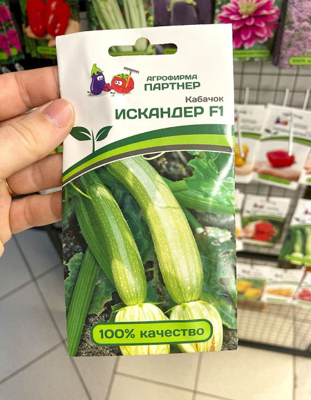 Кабачок Искандер F1